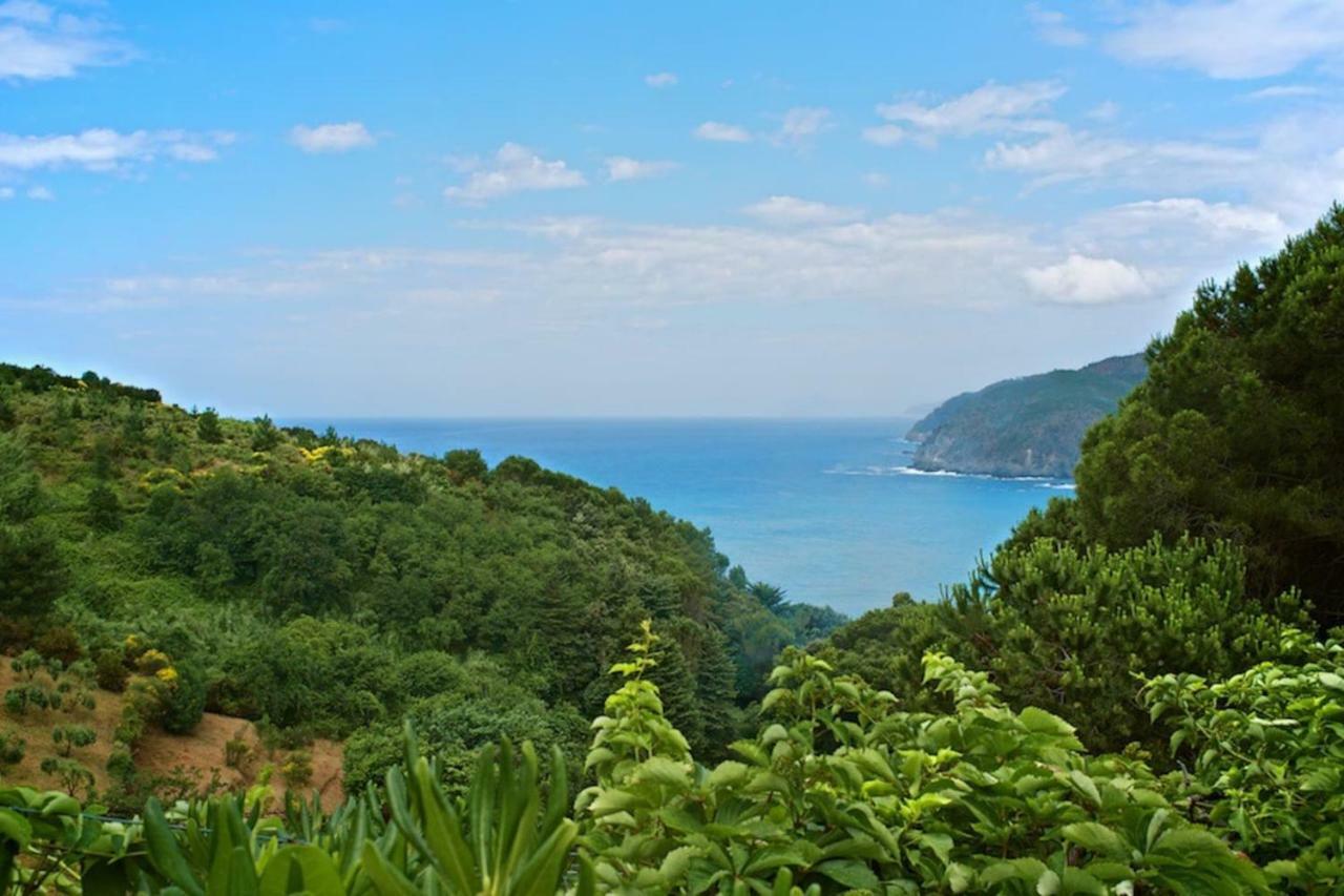 Villa Mesco 莱万托 外观 照片